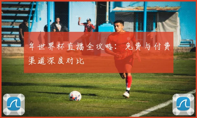 年世界杯直播全攻略：免费与付费渠道深度对比