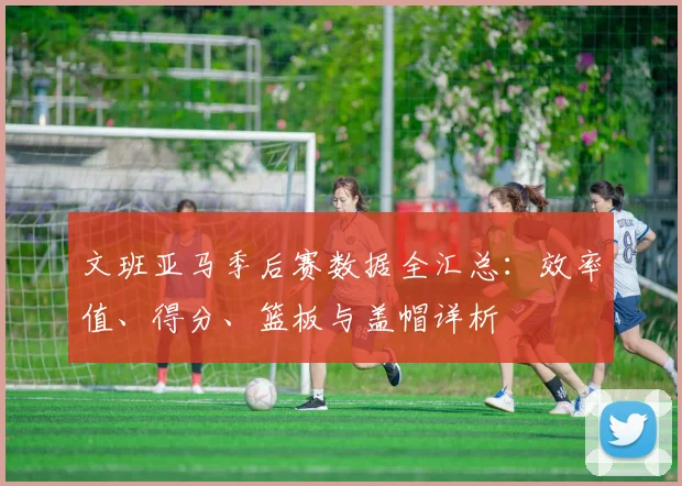 文班亚马季后赛数据全汇总：效率值、得分、篮板与盖帽详析