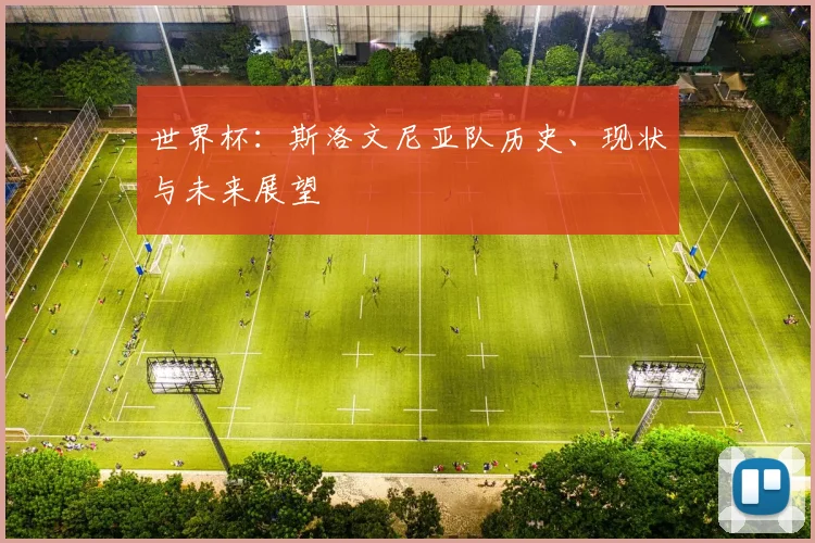 世界杯：斯洛文尼亚队历史、现状与未来展望